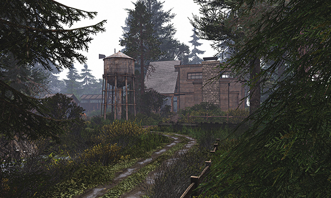 Wild Branch Brewing Co