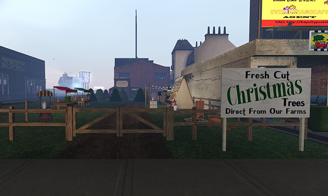 Park Plaza Christmas Tree Lot